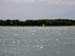 Sailing