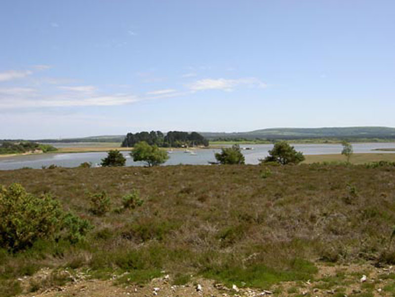 View