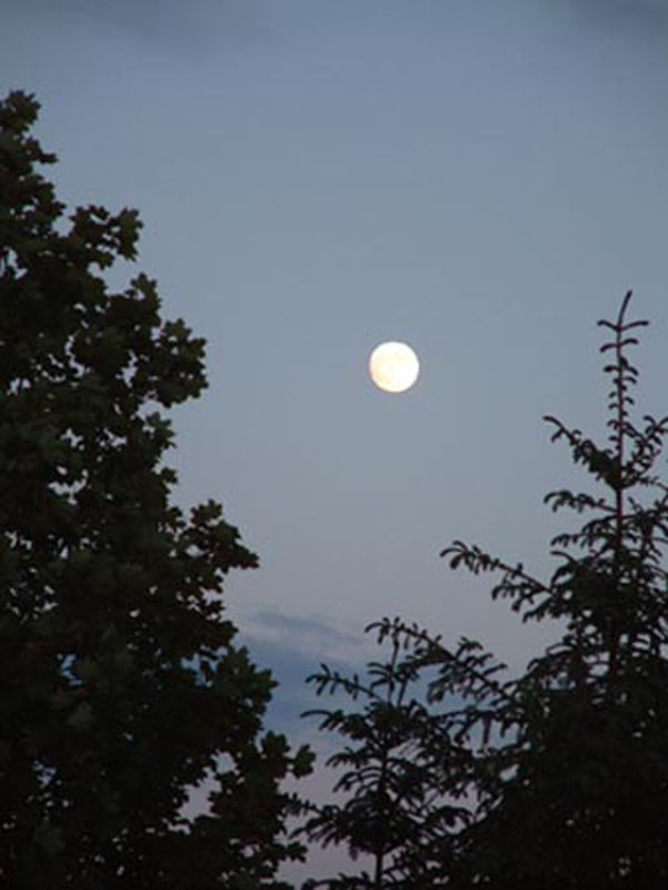 DSCF0361sm