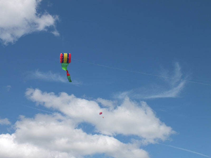 DSCF6046