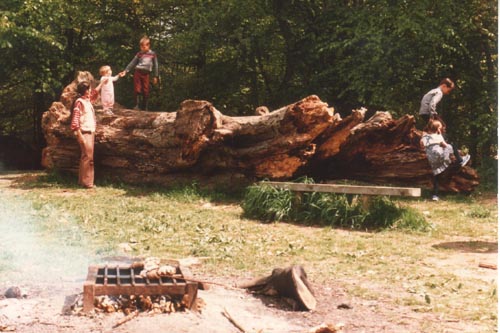 Savernake