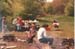 Savernake