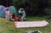 Savernake06