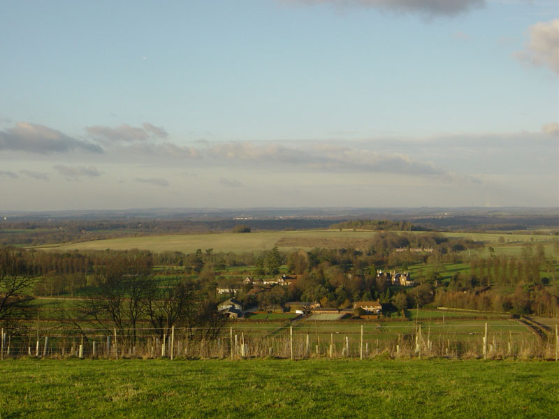 Walk3