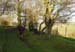 Walk2