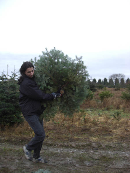 Christmas