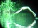 Swimming