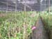 DSCF0053