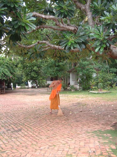 DSCF0085