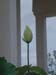DSCF0043