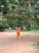 DSCF0085