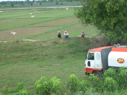 Picture