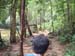DSCF0010