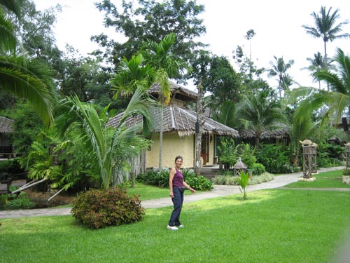 Picture