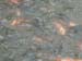 DSCF0141