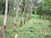 DSCF0004