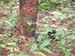 DSCF0005