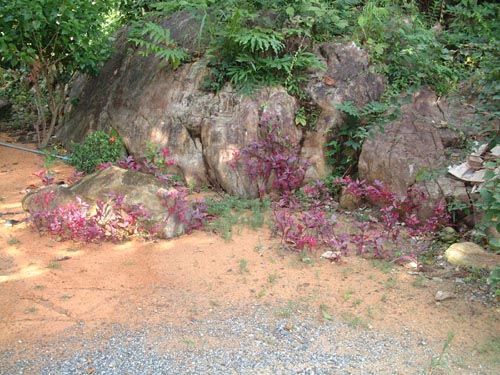 DSCF0036