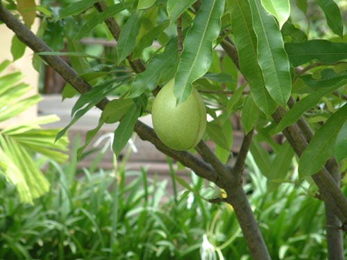 DSCF0149