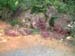 DSCF0036