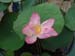 DSCF0049
