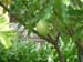 DSCF0149
