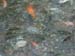 DSCF0143
