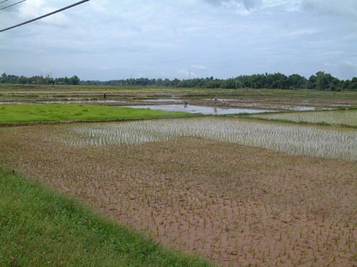 DSCF0040