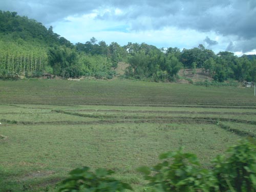 DSCF0135