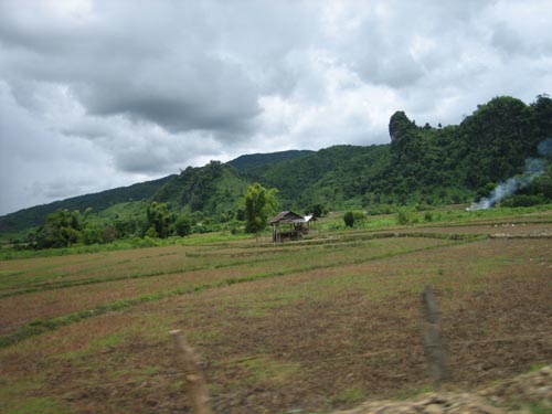 Picture