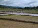 DSCF0041
