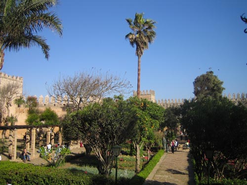 4.Gardens