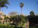 4.Gardens